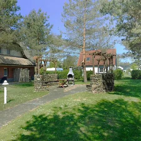 Am Gutspark Drankse Silbergras * Dranske