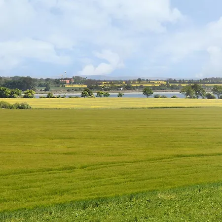 Am Gutspark Drankse Silbergras * Dranske