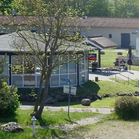 Am Gutspark Drankse Silbergras Dranske