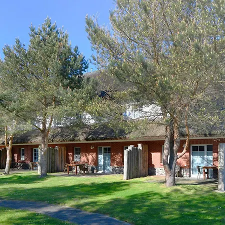 Am Gutspark Drankse Silbergras *