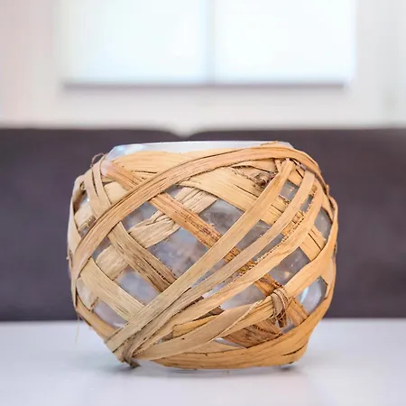 Am Gutspark Drankse Silbergras